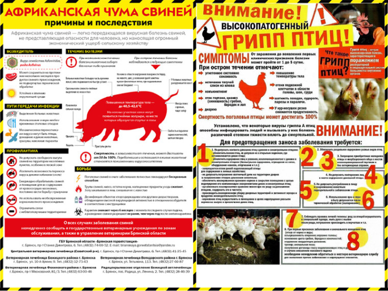 Месячник по обеспечению биологической защиты от особоопасных болезней животных «ЩИТ».