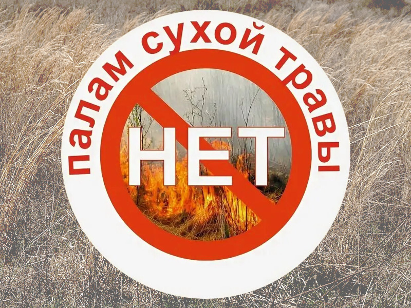 Главного управления МЧС России по Брянской области информирует!.
